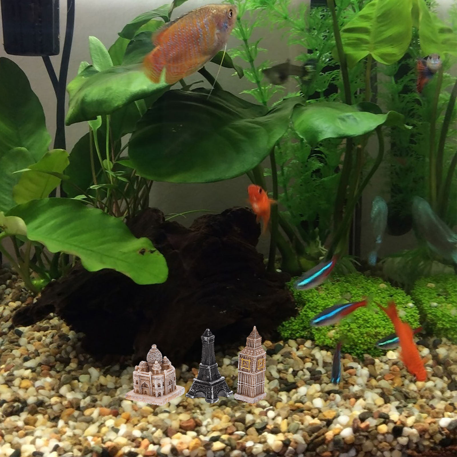 Aquarium & Marine Museum - Набор из 7 миниатюрных римских статуэток: