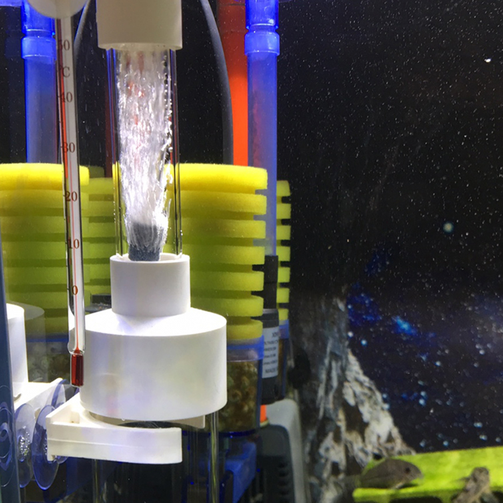 40 мм стакан-инкубатор, инкуба – обзор и цена Marine Aquarium Kit