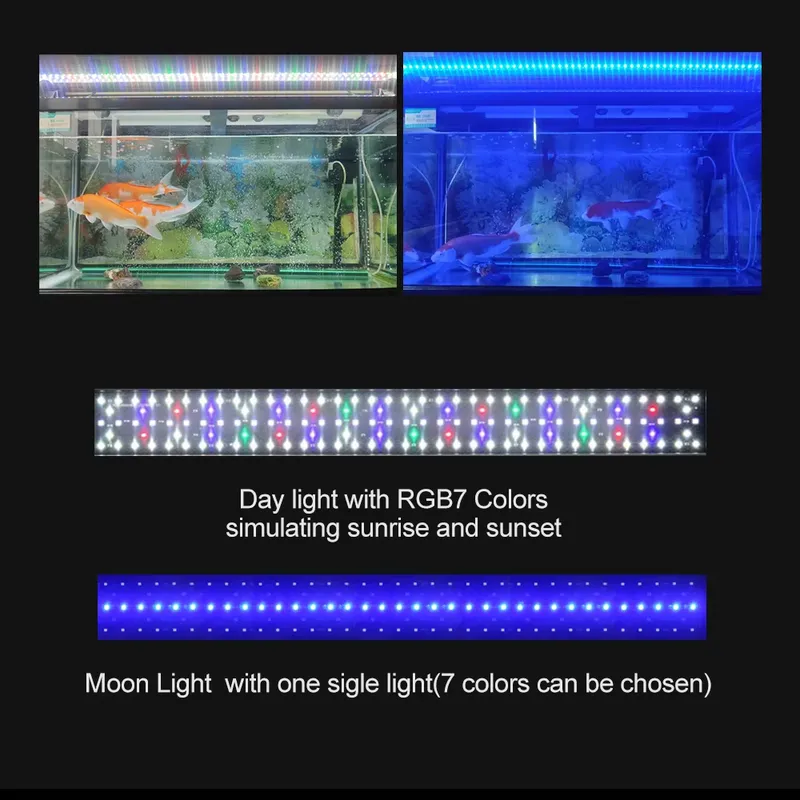 Высококачественное водонепрони – обзор и цена Marine Aquarium Hours