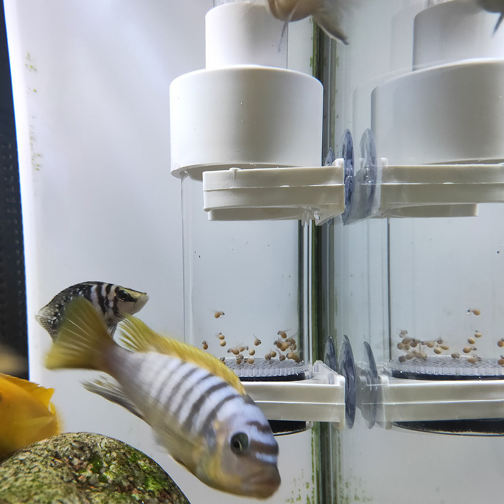 Инкубатор-тумблер для аквариум – обзор и цена Marine Aquarium Kit