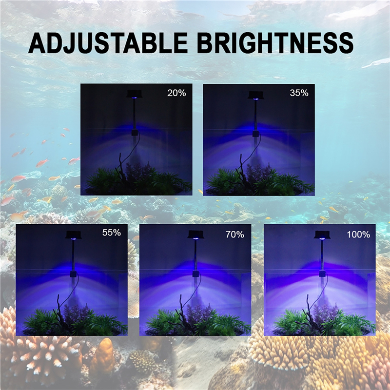 30 Вт аквариум с морской водой – обзор и цена Aquarium Marine Light