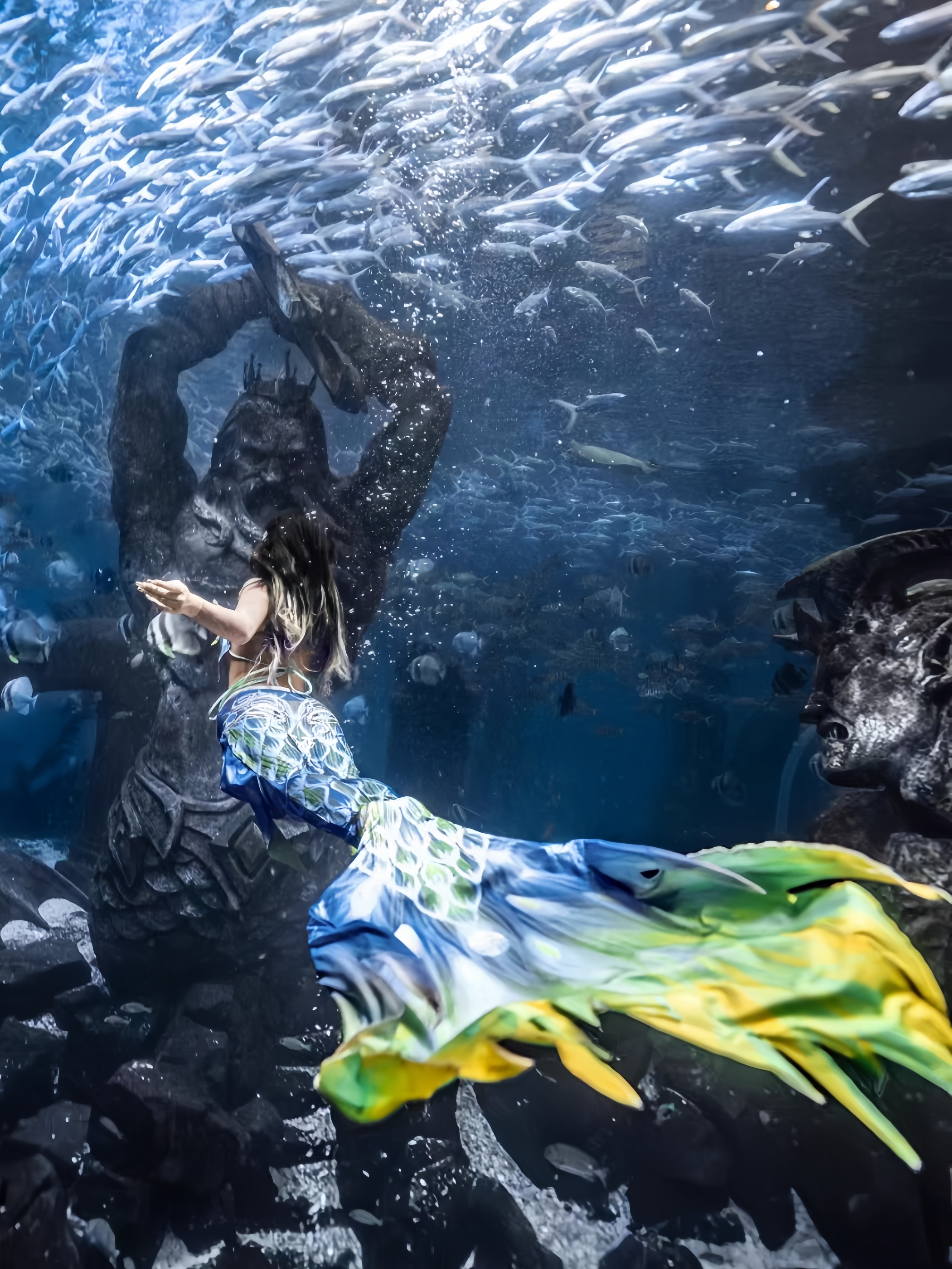 Костюм русалки для взрослых же – обзор и цена Aquarium & Marine Museum