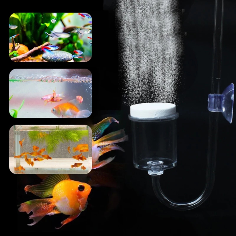 4 шт./набор, соленоидный регул – обзор и цена Marine Aquarium Kit